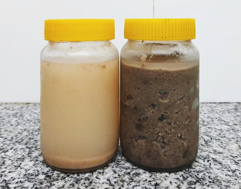 Lodo biológico antes y después de un proceso de deshidratación